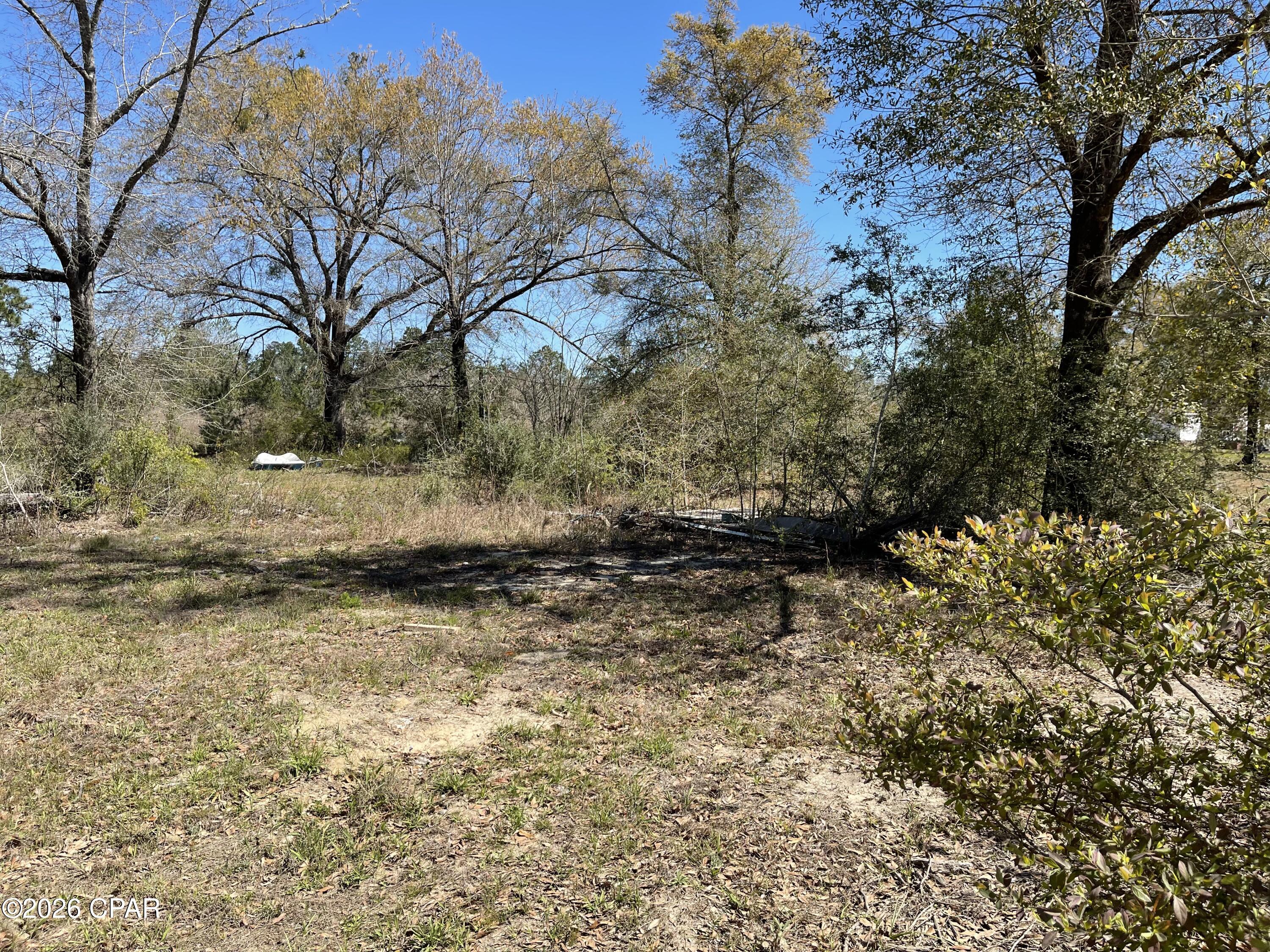 12123 Harrington Road Fountain, FL 32438 - Photo 8 of 37