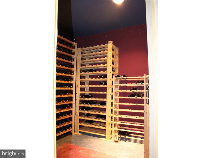 303 Nottingham Drive Spring City, PA 19475 - Photo 13 of 21 Wine Cellar
