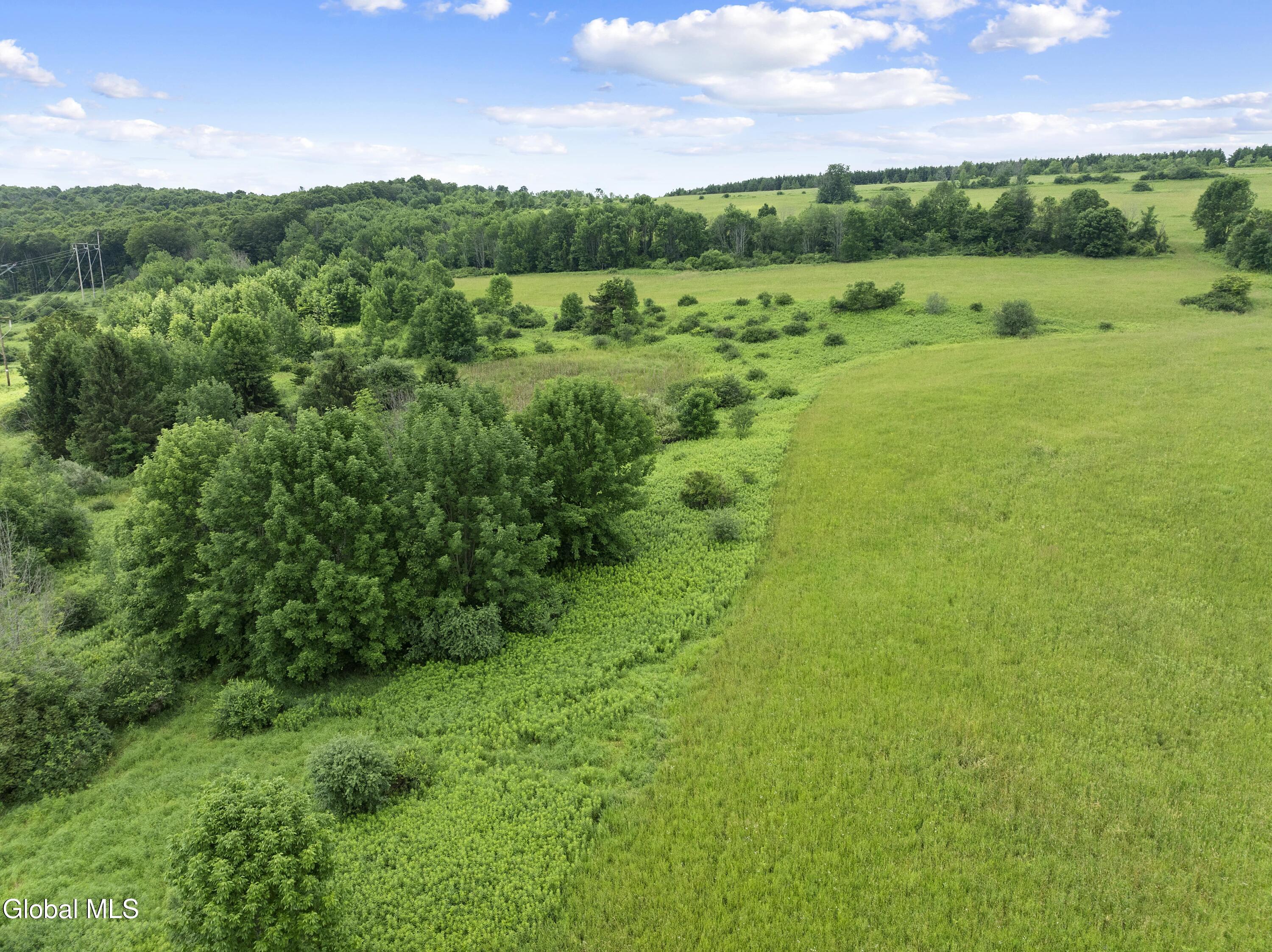 L1.5 Sky High Road Tully, NY 13159 - Photo 14 of 17 14-min