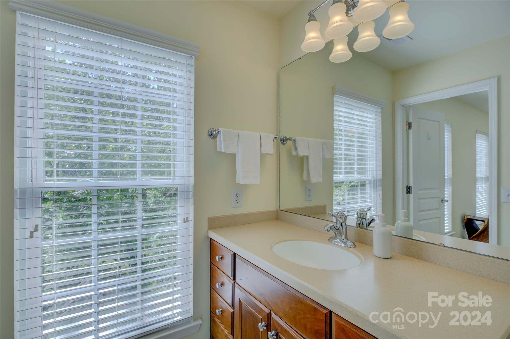 1104 Drayton Court Fort Mill, SC 29708 - Photo 33 of 48