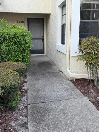 a view of backyard with plants and trees