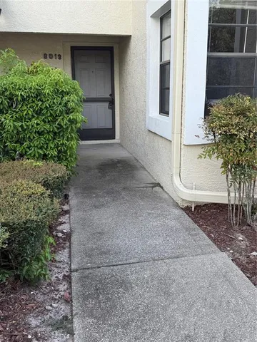 a view of backyard with plants and trees