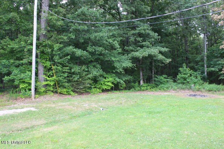 179 Dry Field Road Byhalia, MS 38611 - Photo 18 of 20 IMG_7242