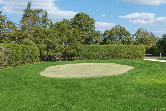 a view of yard with swimming pool and green