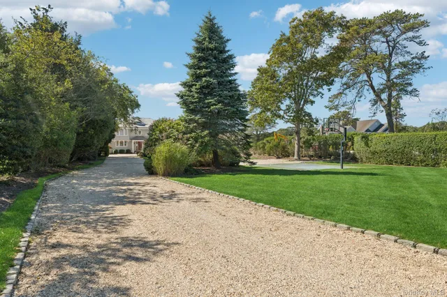 a view of a park with tree s