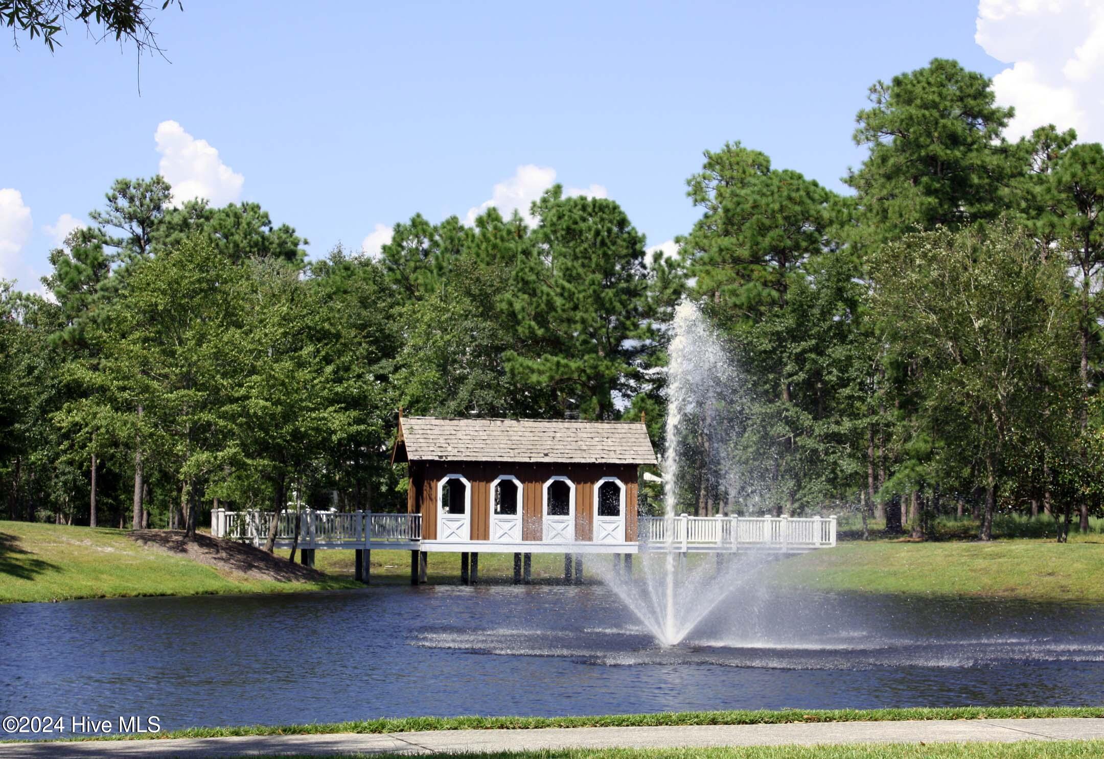 587-5 River Ridge Road Shallotte, NC 28470 - Photo 49 of 59 Beautiful Scenery