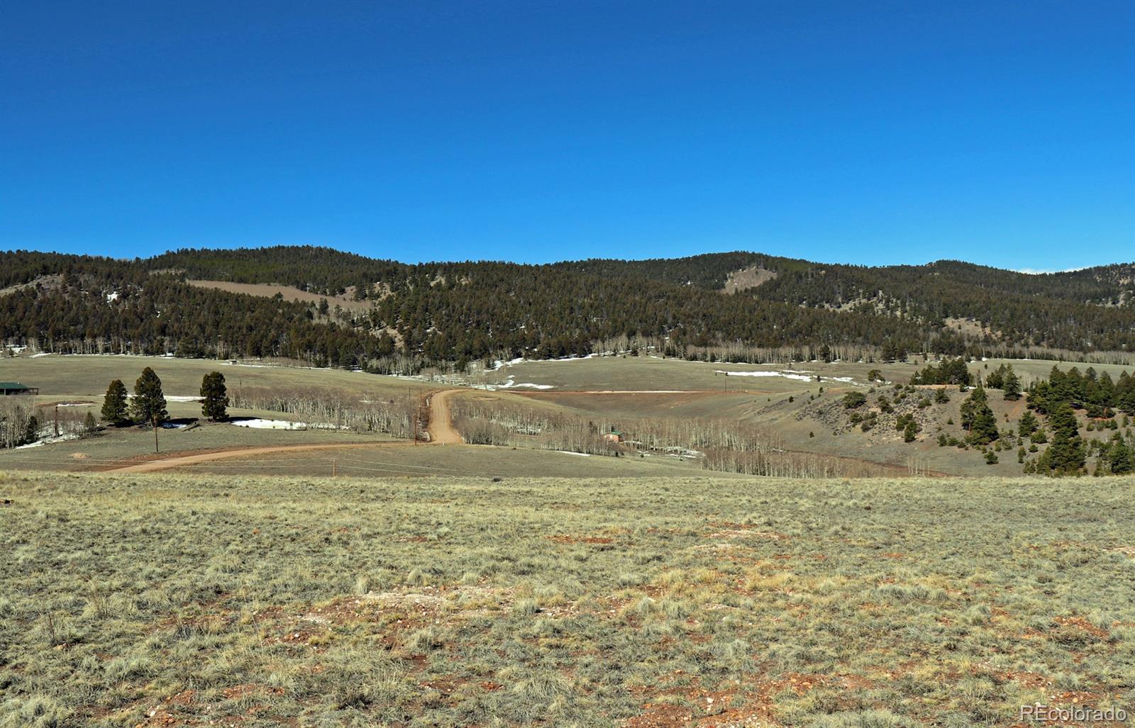 8853 Ranch Road Hartsel, CO 80449 - Photo 12 of 14 Gallery Image 12