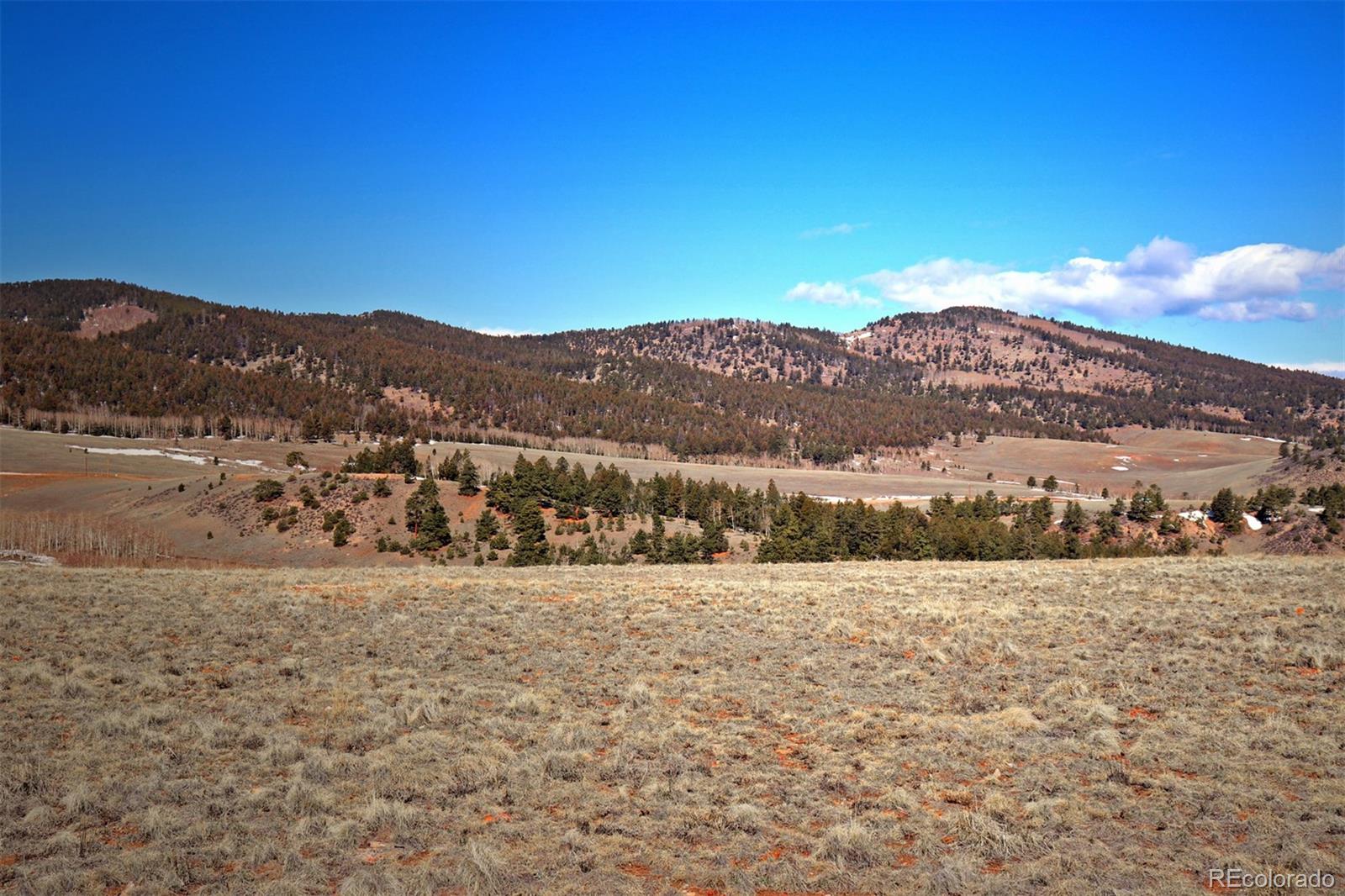 8853 Ranch Road Hartsel, CO 80449 - Photo 14 of 14 Gallery Image 14
