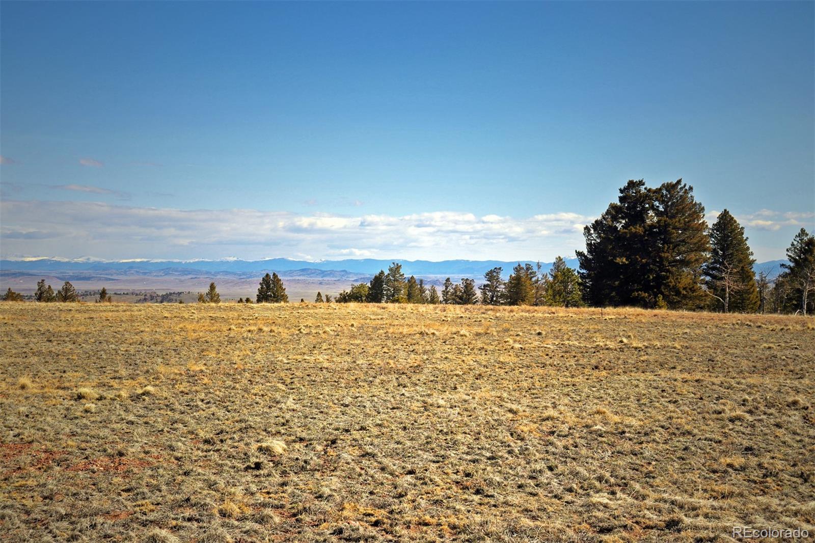 8853 Ranch Road Hartsel, CO 80449 - Photo 4 of 14 Gallery Image 4