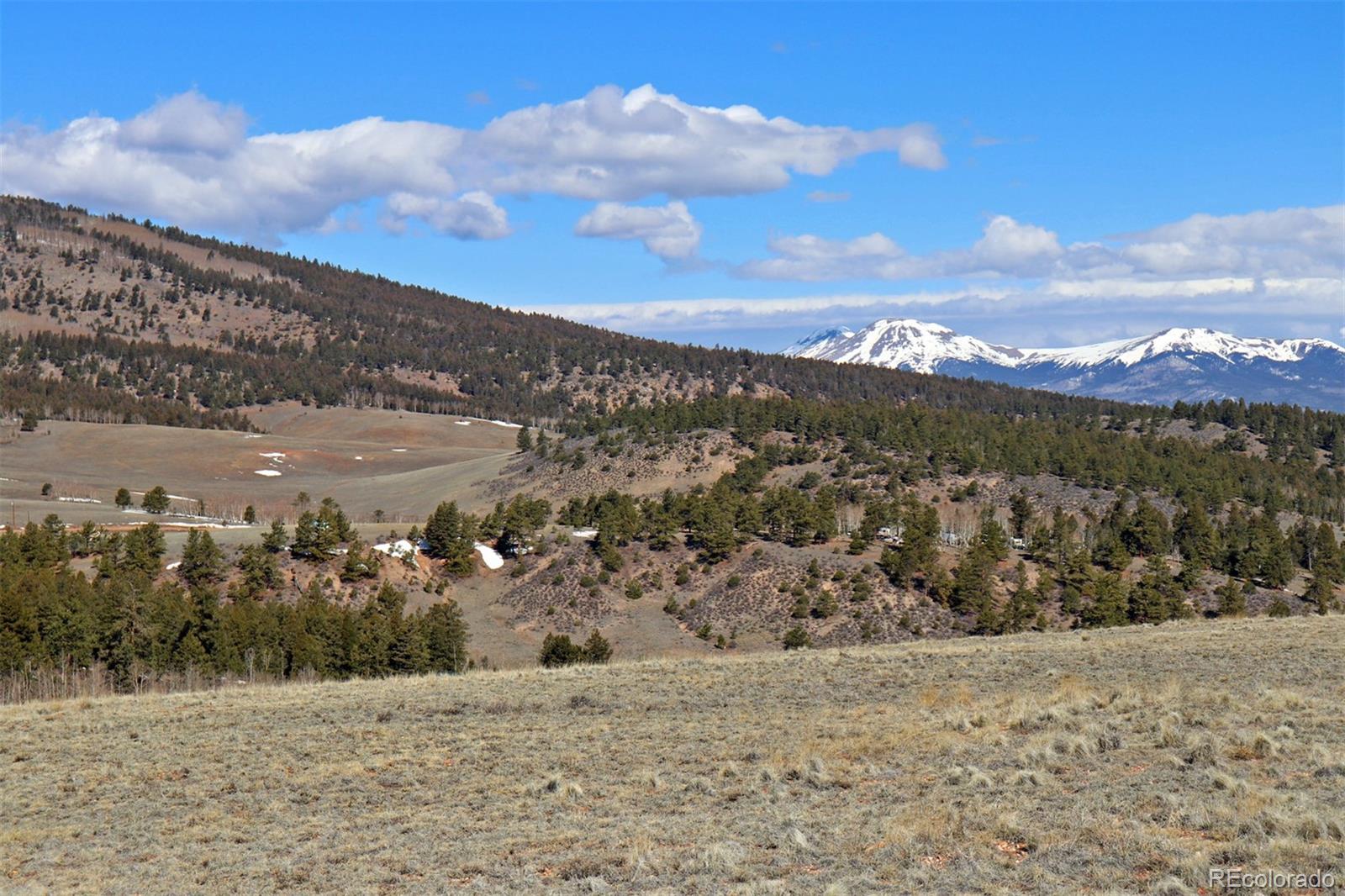 8853 Ranch Road Hartsel, CO 80449 - Photo 6 of 14 Gallery Image 6