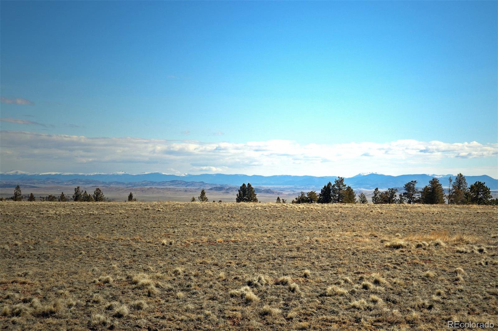 8853 Ranch Road Hartsel, CO 80449 - Photo 7 of 14 Gallery Image 7