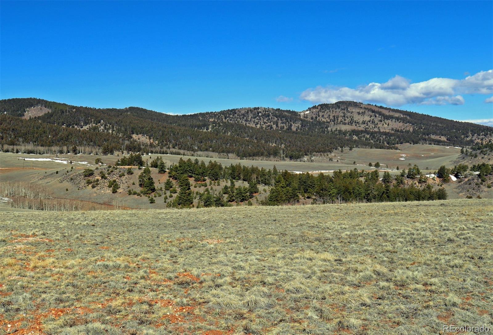 8853 Ranch Road Hartsel, CO 80449 - Photo 9 of 14 Gallery Image 9