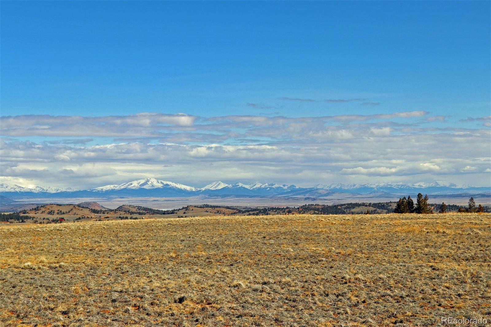 8853 Ranch Road Hartsel, CO 80449 - Photo 10 of 14 Gallery Image 10