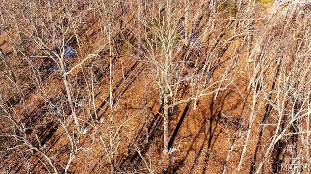 $484,000 | 2101 Vly Crk Drive, Owensville, MO 65066