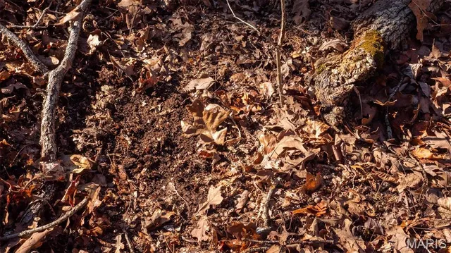 $484,000 | 2101 Vly Crk Drive, Owensville, MO 65066