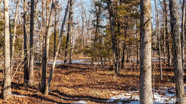 $484,000 | 2101 Vly Crk Drive, Owensville, MO 65066