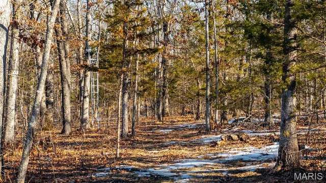 $484,000 | 2101 Vly Crk Drive, Owensville, MO 65066