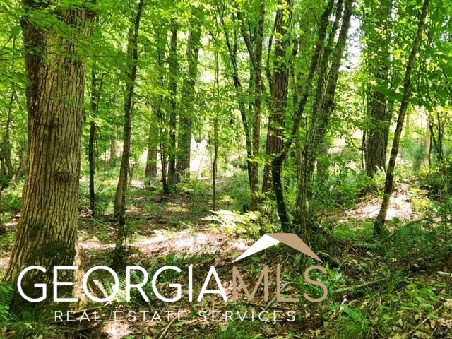 0 Cook Road, Unit LOT #7 Monticello, GA 31064 - Photo 1 of 1 Gallery Image 1