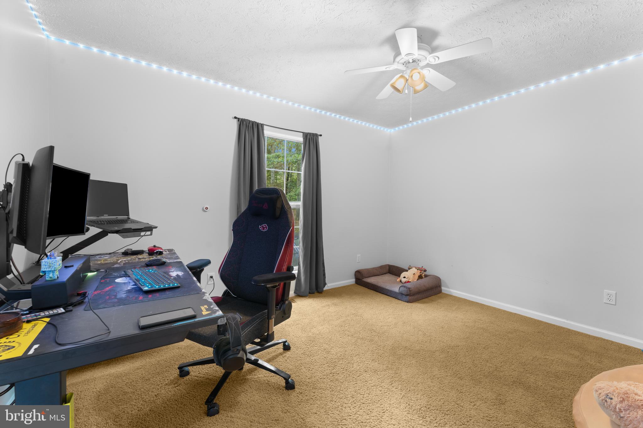 628 River Road Madison, VA 22727 - Photo 31 of 44