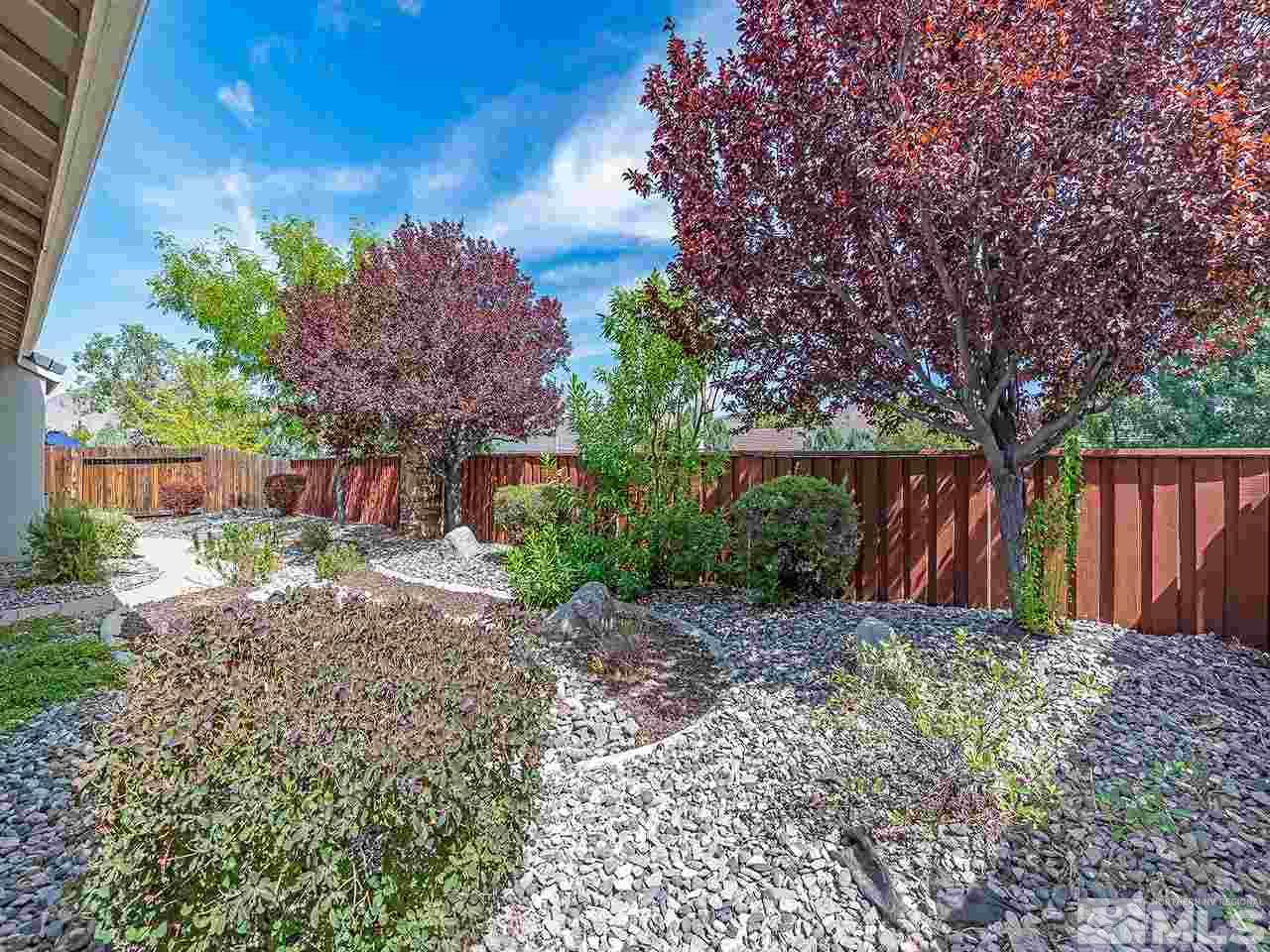 10440 Silver Rush Court Reno, NV 89521 - Photo 21 of 22 a view of a backyard with large tree