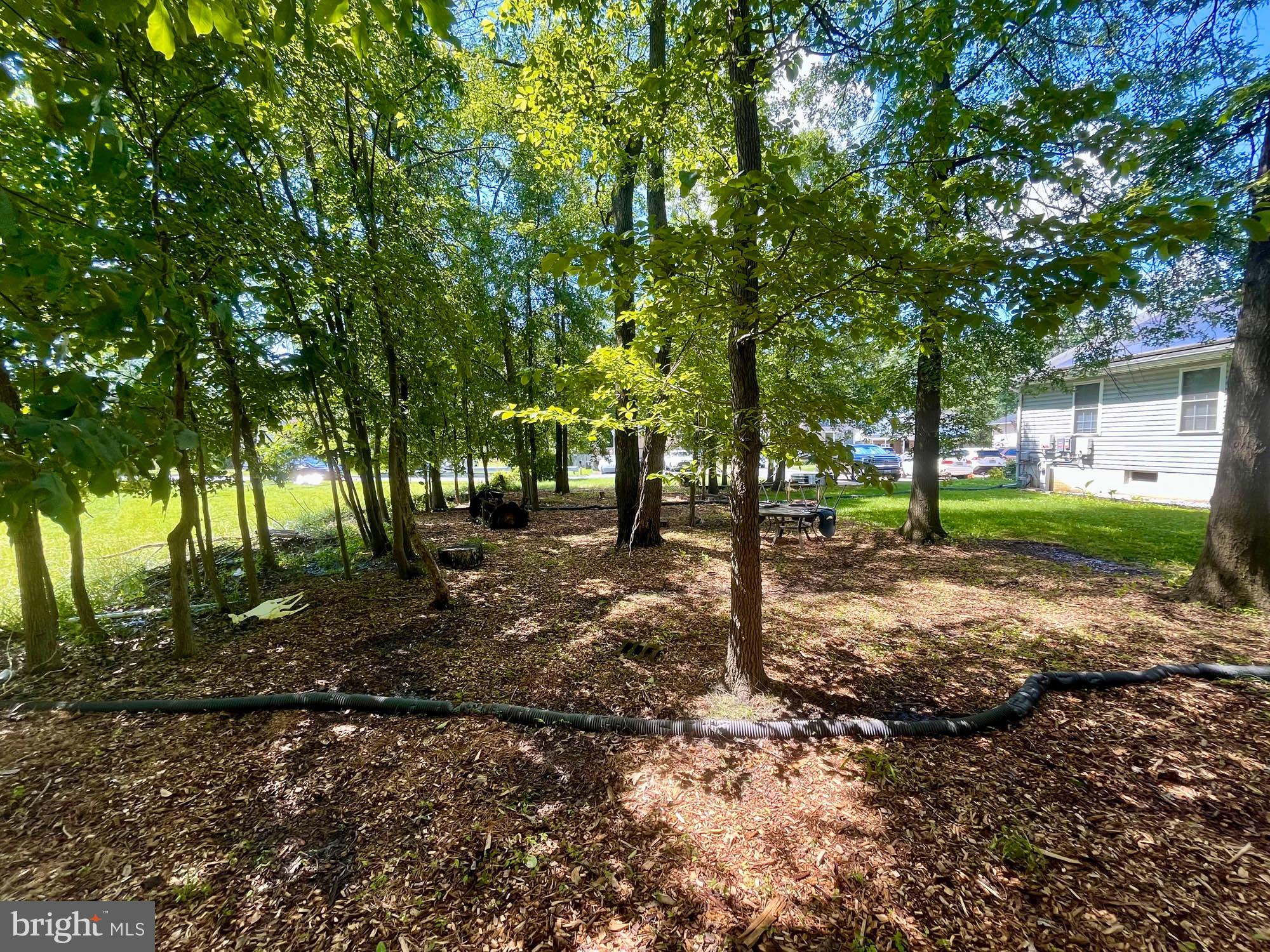 4812 Valley Forge Road Randallstown, MD 21133 - Photo 4 of 6 Gallery Image 4