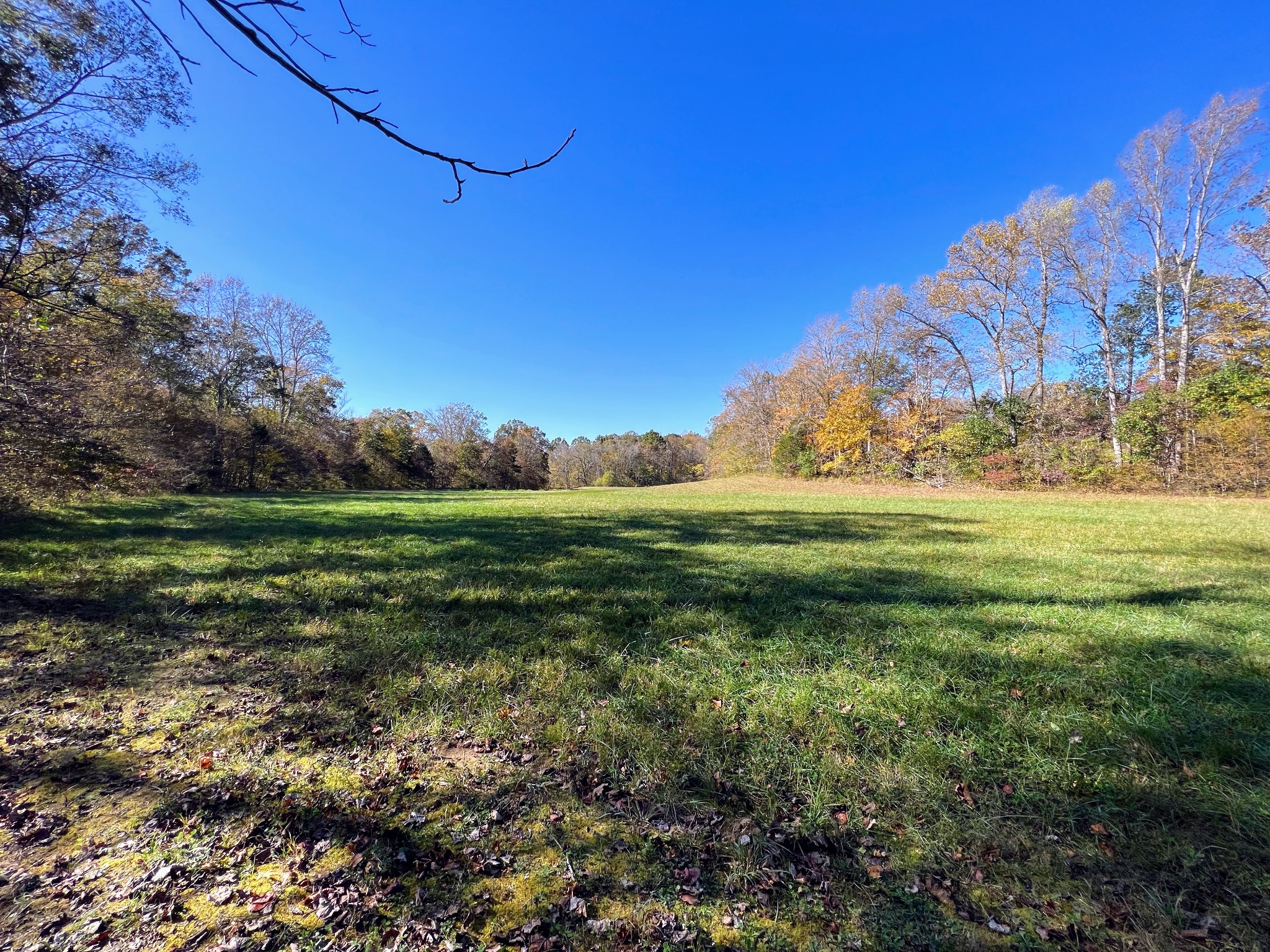 1420 Liberty Road Charlotte, TN 37036 - Photo 43 of 69 Gallery Image 43