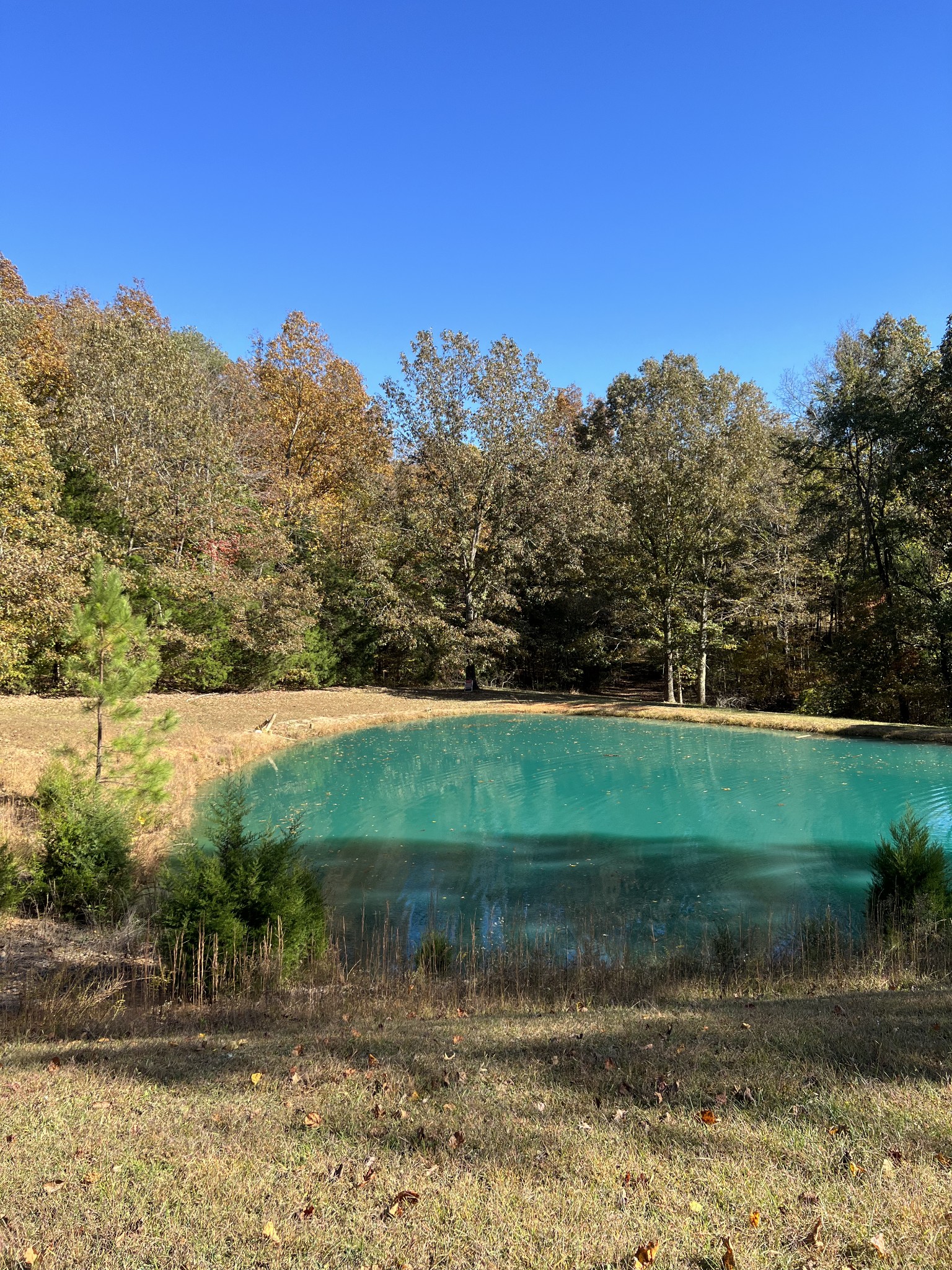 1420 Liberty Road Charlotte, TN 37036 - Photo 48 of 69 Gallery Image 48