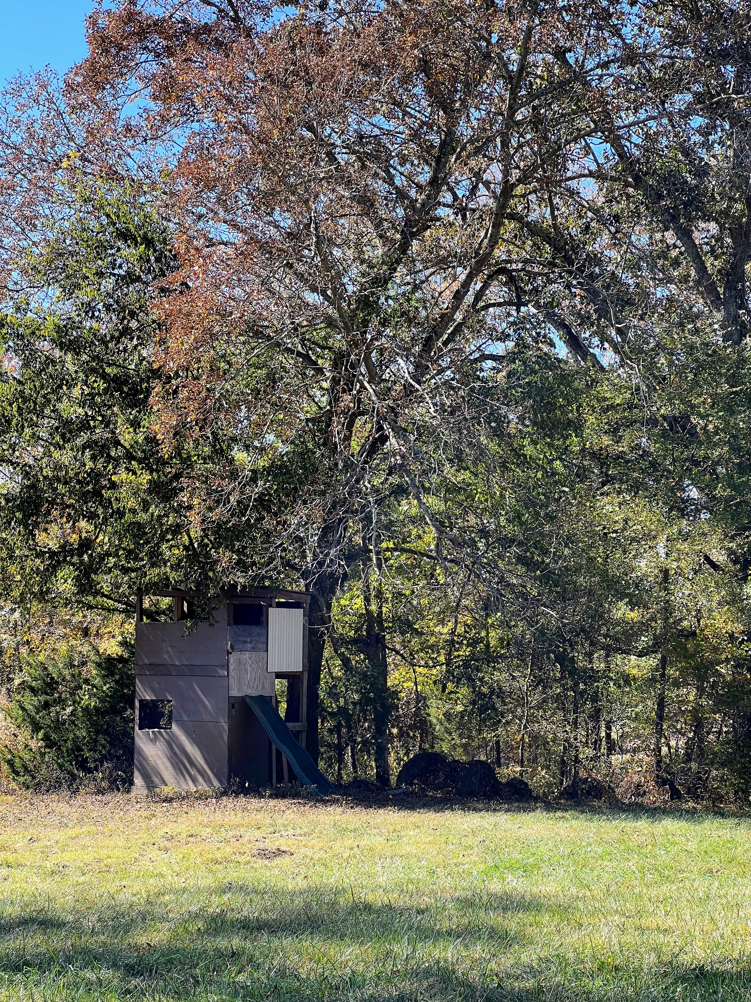 1420 Liberty Road Charlotte, TN 37036 - Photo 53 of 69 Gallery Image 53