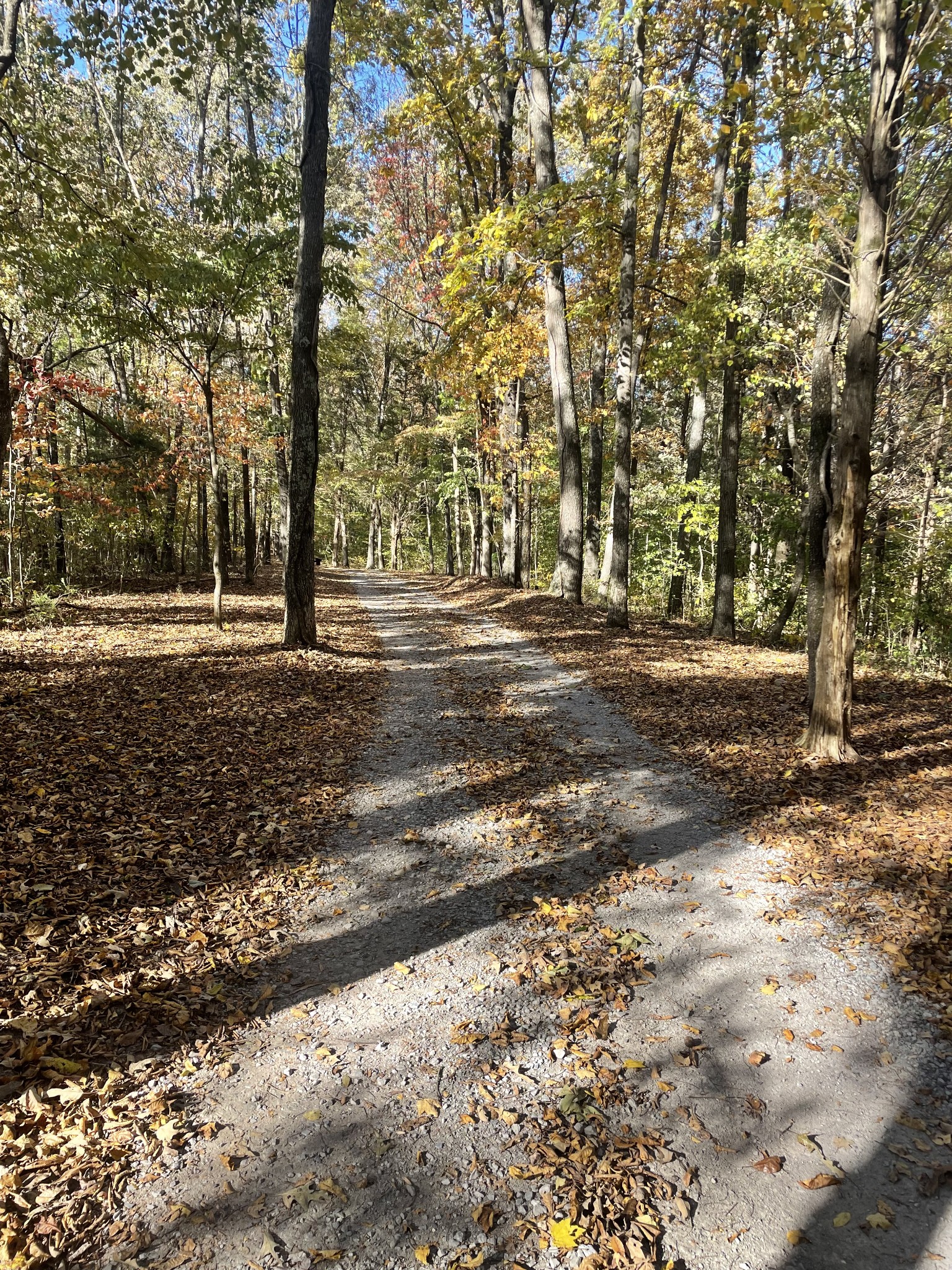 1420 Liberty Road Charlotte, TN 37036 - Photo 6 of 69 Gallery Image 6