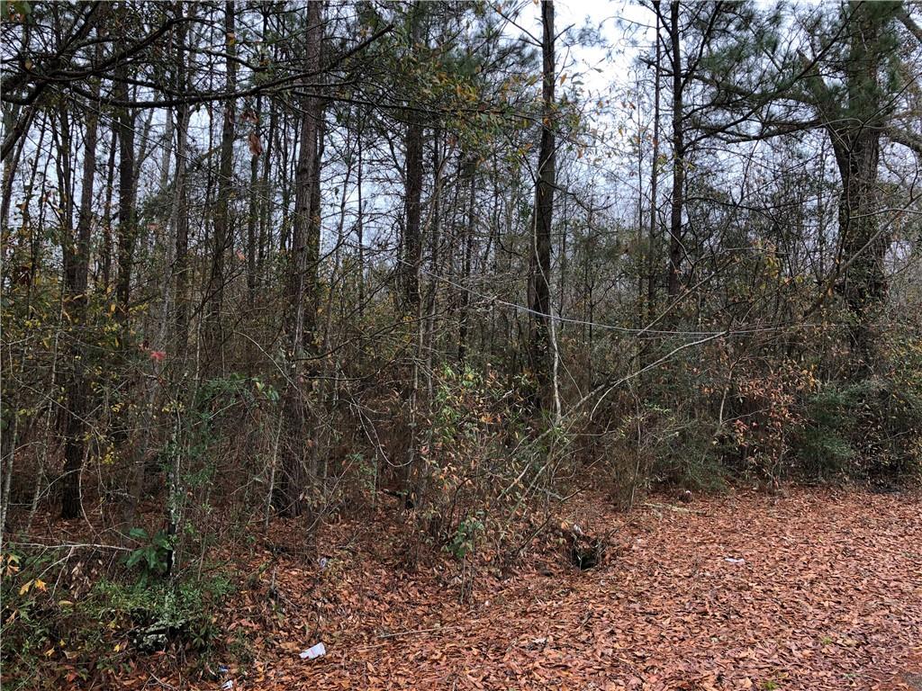 0 Adams Street Bogalusa, LA 70427 - Photo 2 of 3