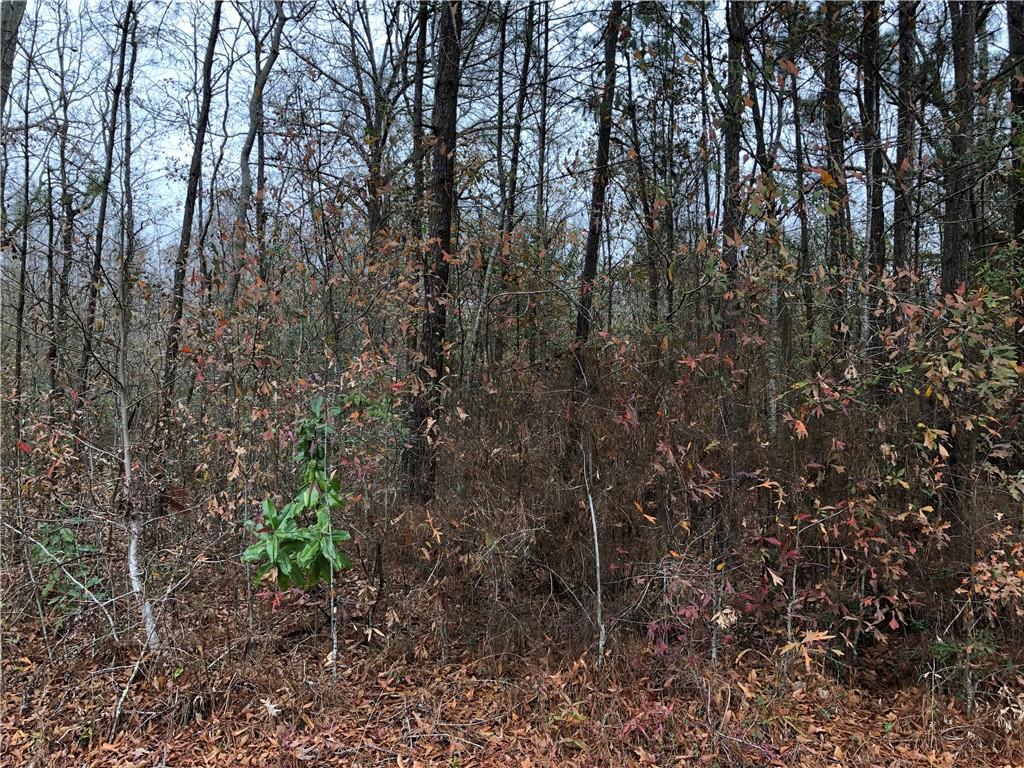 0 Adams Street Bogalusa, LA 70427 - Photo 3 of 3