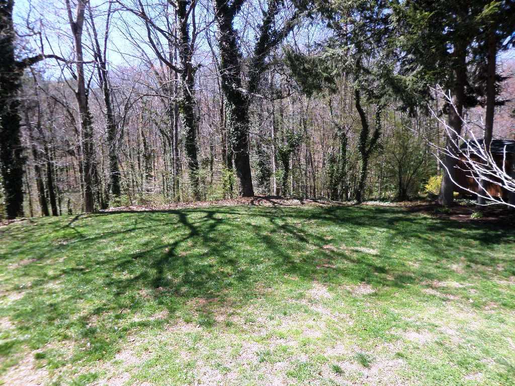 137 Georgia Avenue Oak Ridge, TN 37830 - Photo 27 of 30 Back Yard