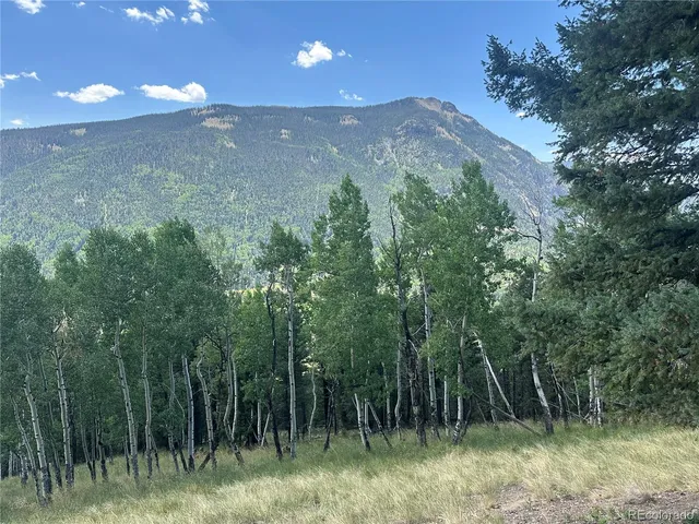 a view of a lush green forest with lots of trees