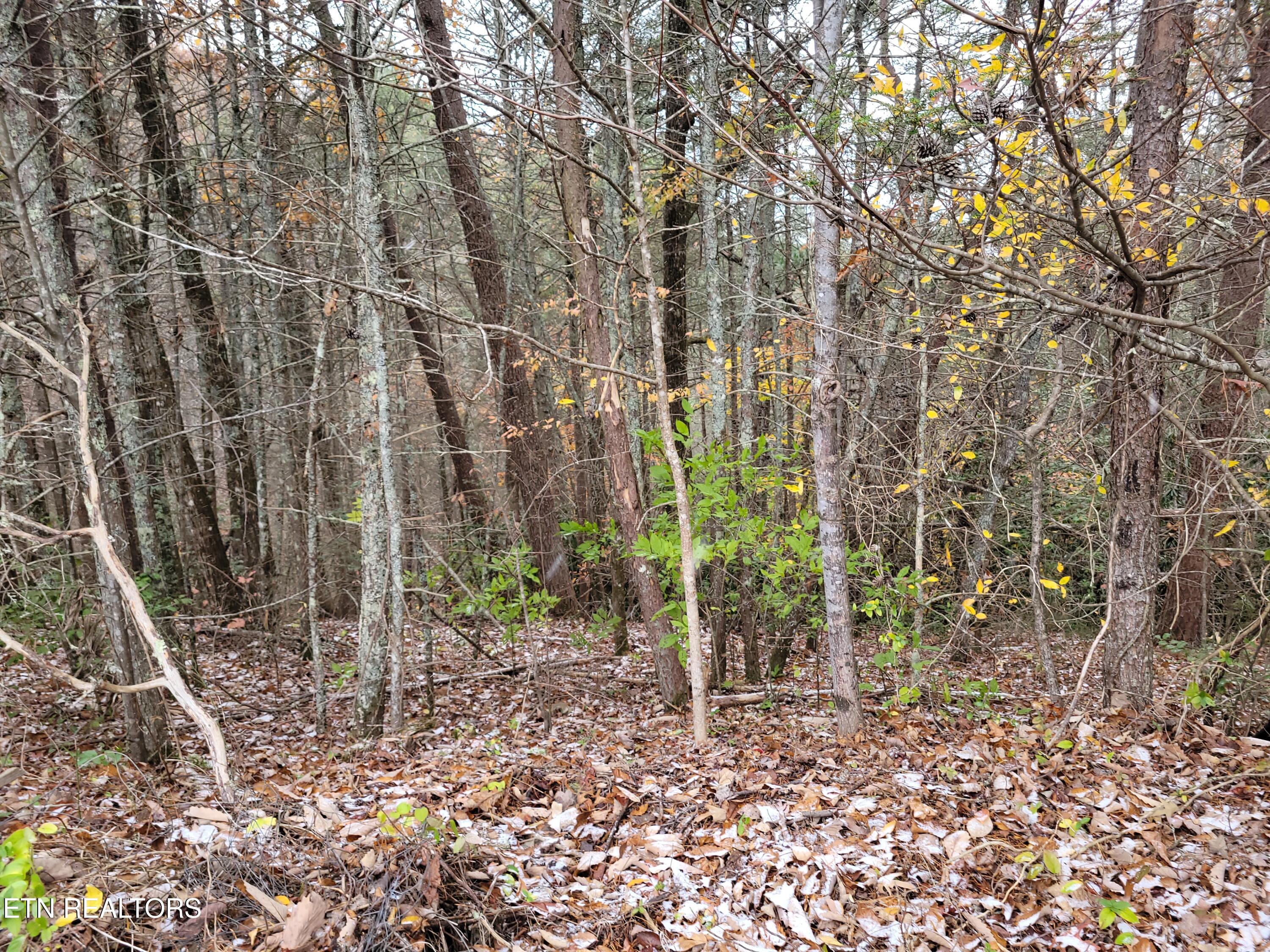 Lot 1-2 Ridge View Drive Sevierville, TN 37876 - Photo 3 of 6 20251110_120705