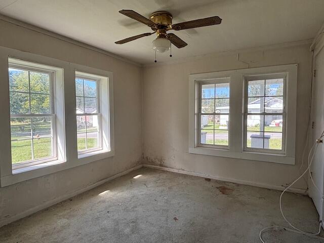 123 Groves Road Pikeville, TN 37367 - Photo 7 of 11 7