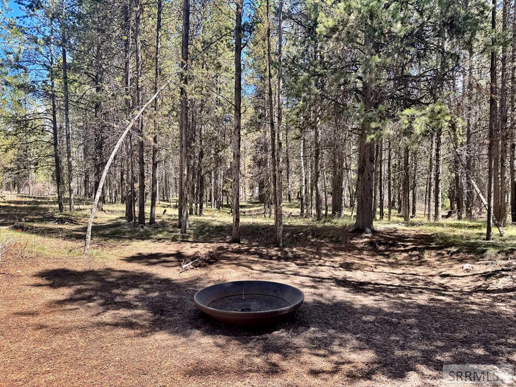 4066 Yale Creek Road Island Park, ID 83429 - Photo 11 of 23