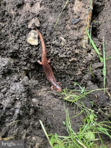 $340,000 | 1485 Compton Hollow Road, Rileyville, VA 22650