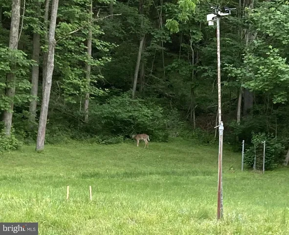 $340,000 | 1485 Compton Hollow Road, Rileyville, VA 22650