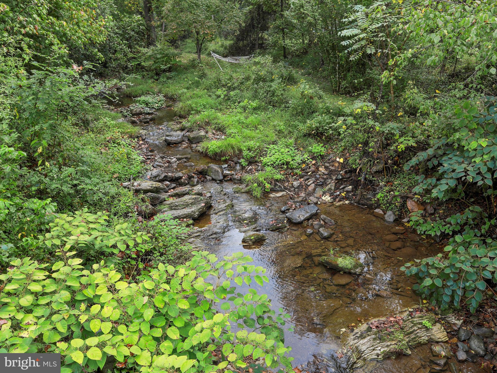 1485 Compton Hollow Road Rileyville, VA 22650 - Photo 3 of 55 a big yard with lots of green space
