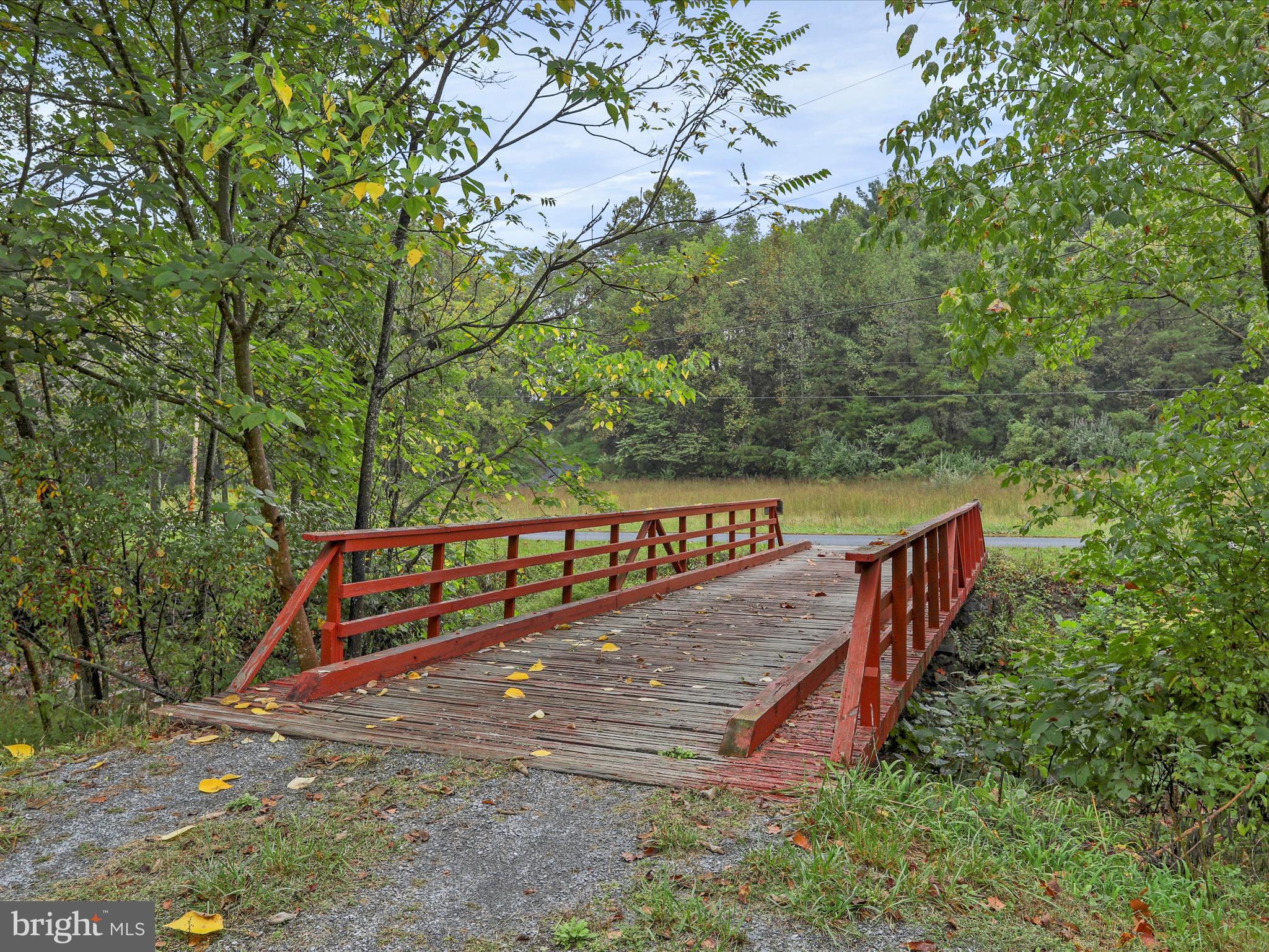 1485 Compton Hollow Road Rileyville, VA 22650 - Photo 45 of 55