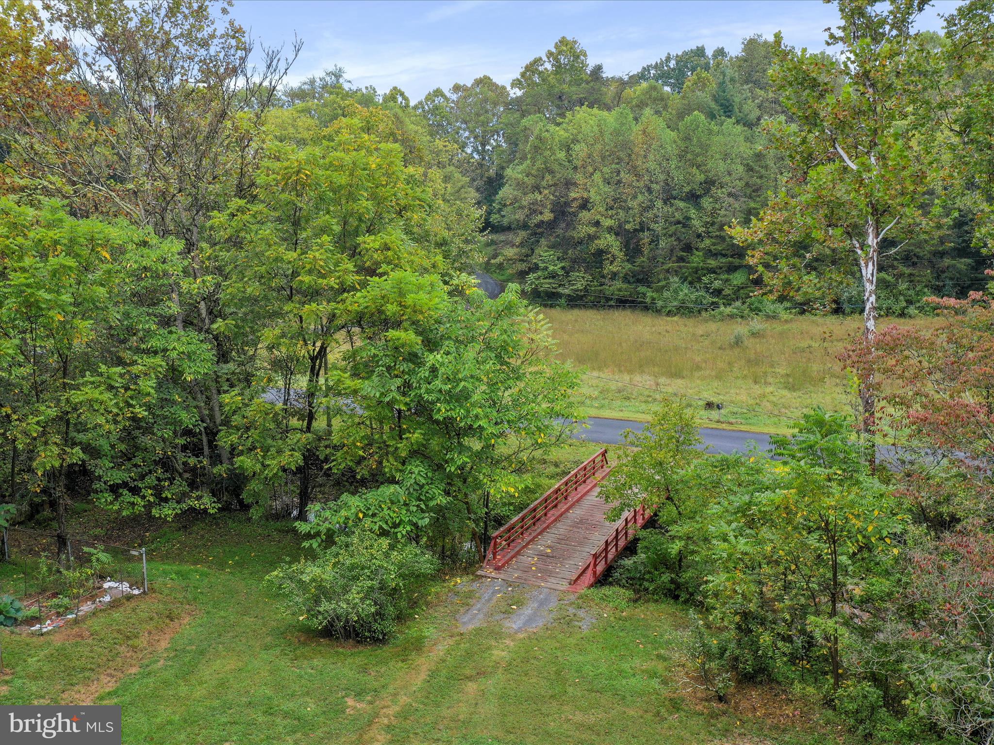 1485 Compton Hollow Road Rileyville, VA 22650 - Photo 49 of 55 a view of a garden with a tree