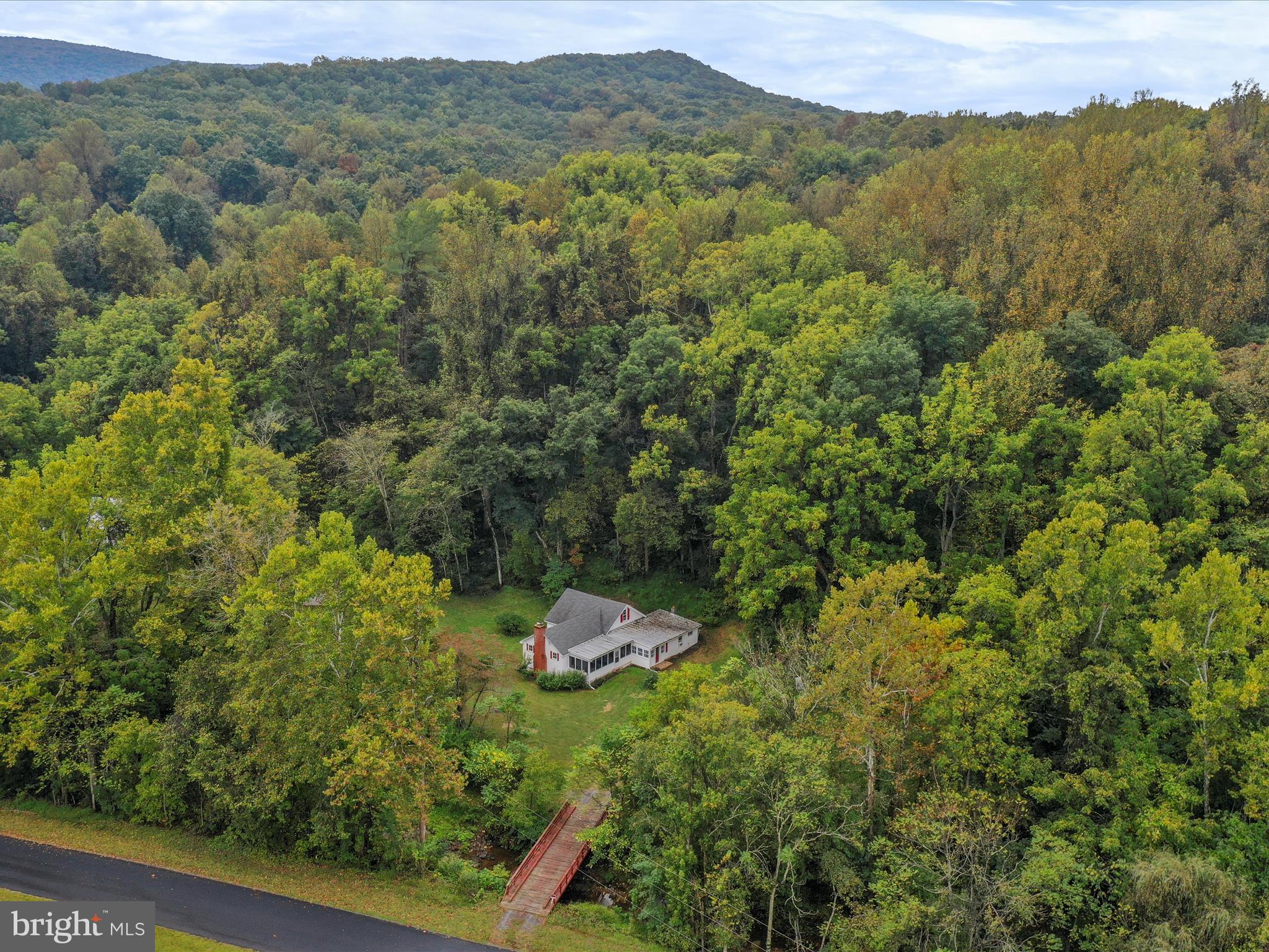 1485 Compton Hollow Road Rileyville, VA 22650 - Photo 50 of 55 a view of a lush green field with a tree in the background