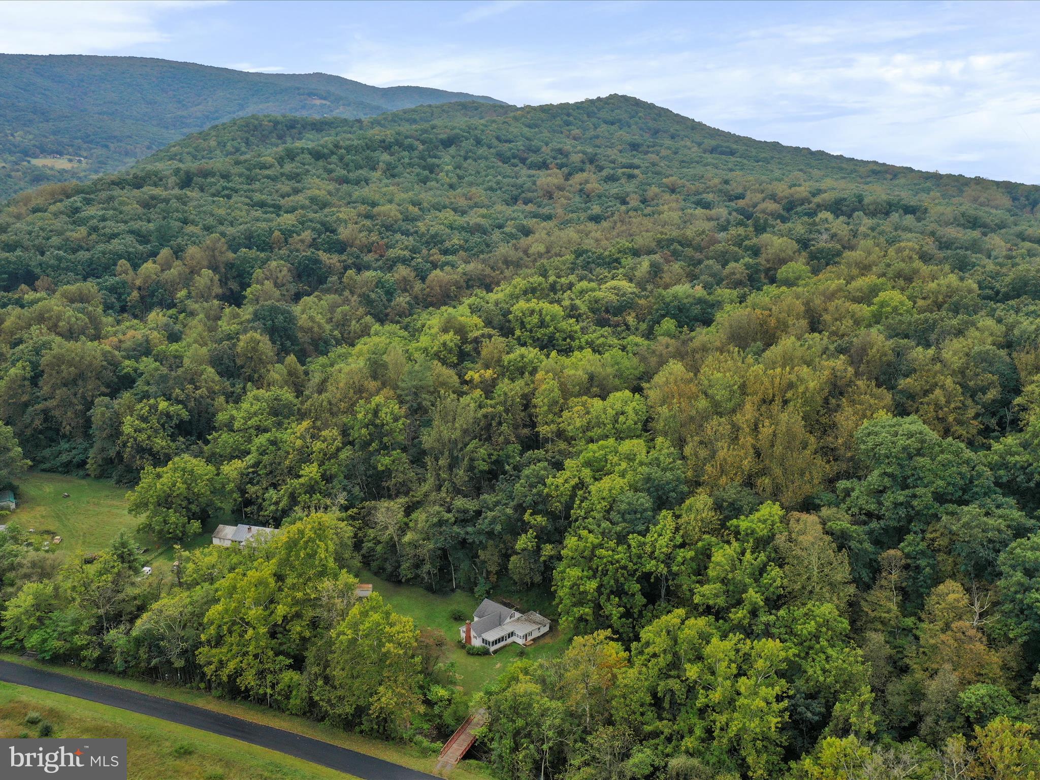 1485 Compton Hollow Road Rileyville, VA 22650 - Photo 51 of 55 a view of a lush green forest with trees and houses