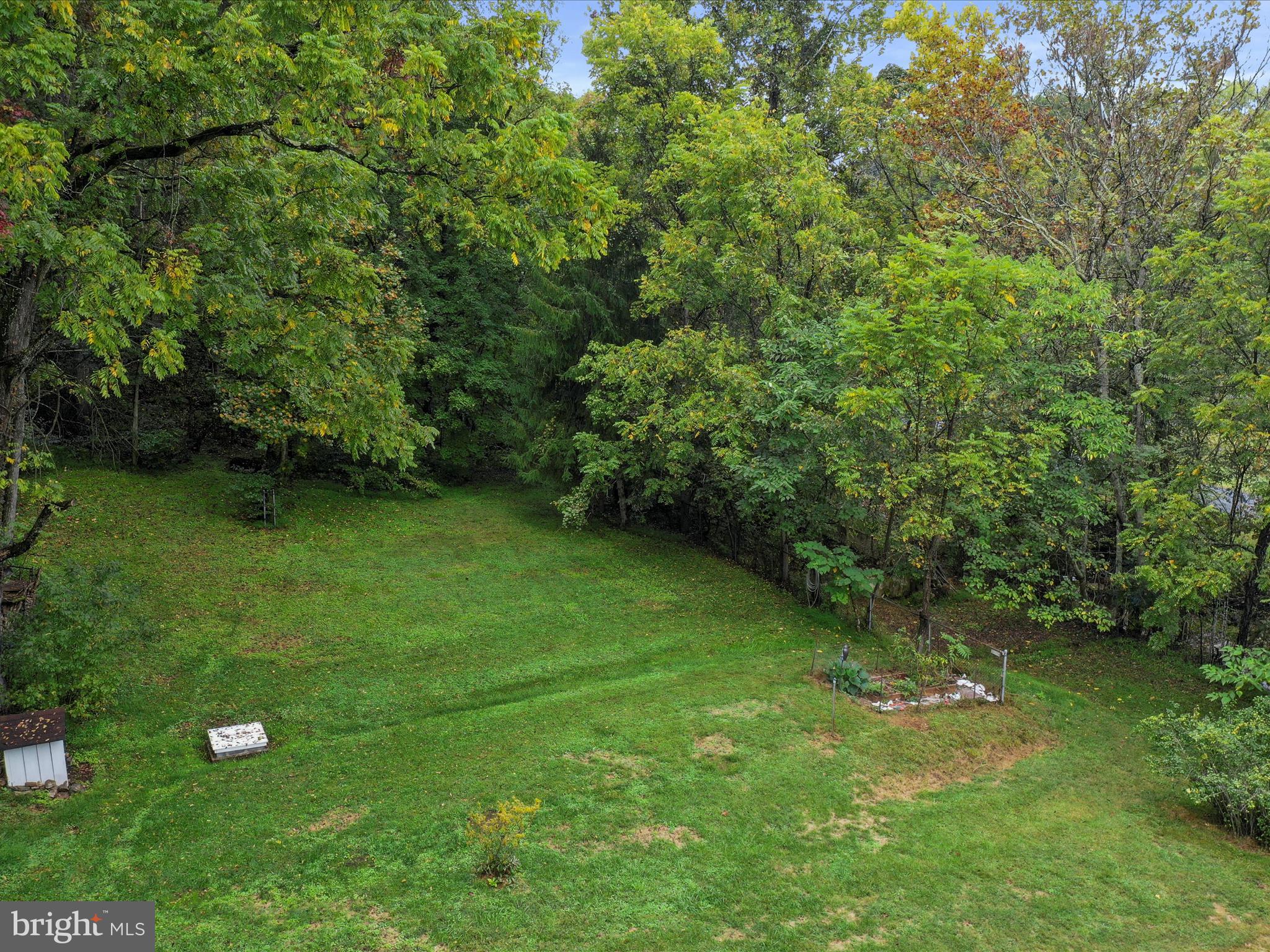 1485 Compton Hollow Road Rileyville, VA 22650 - Photo 8 of 55 a green field with lots of bushes