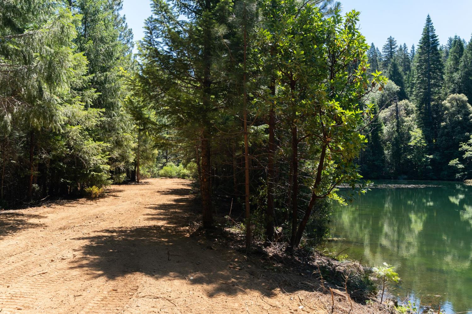 10075 White Fir Road Georgetown, CA 95634 - Photo 6 of 35