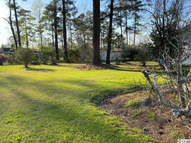 414 North Main Street Hemingway, SC 29554 - Photo 33 of 36