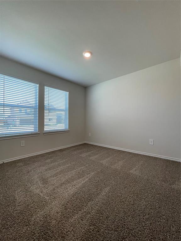 744 Sweet Pea Drive Pilot Point, TX 76258 - Photo 8 of 32