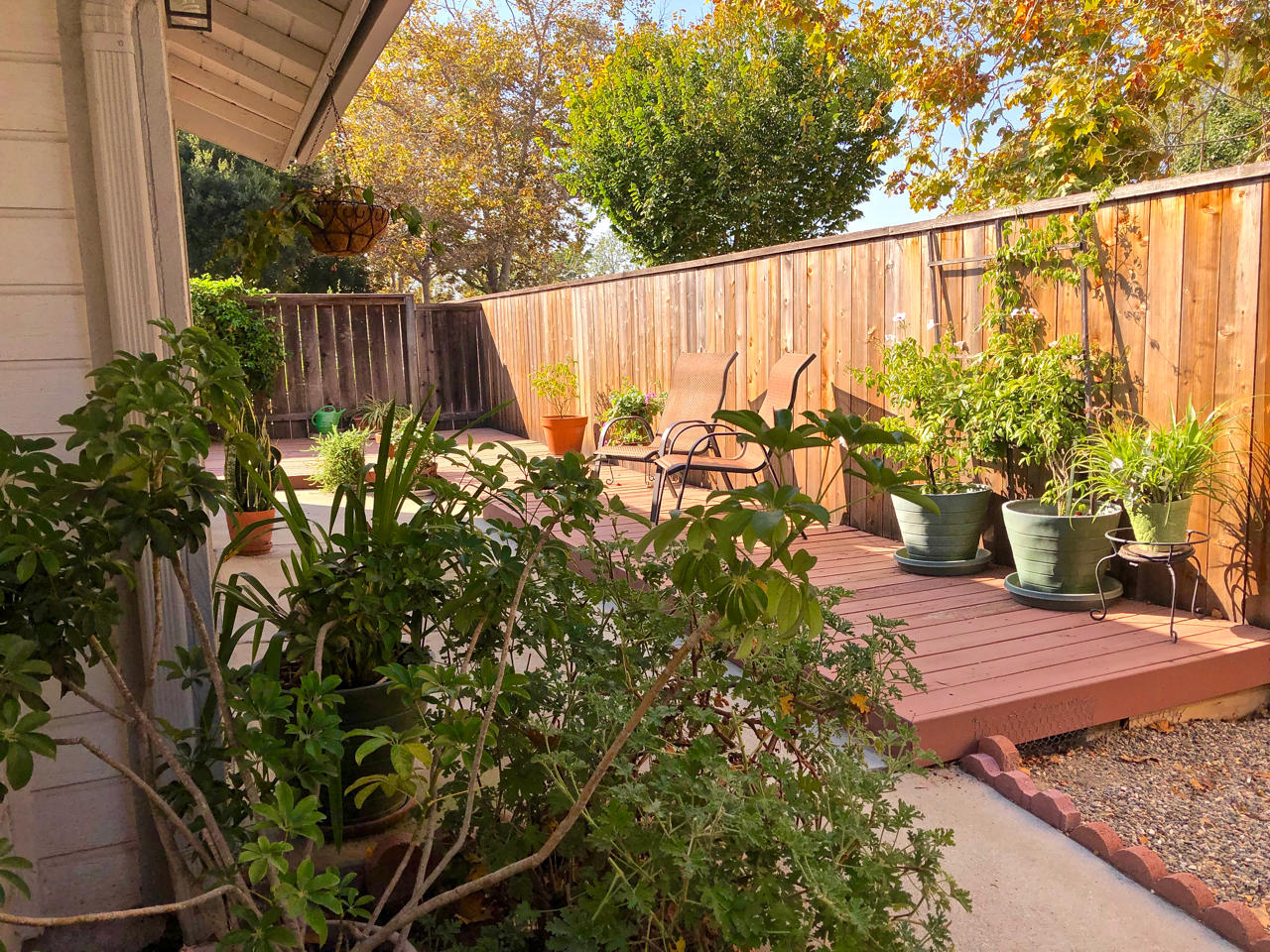 6004 Berkeley Road Goleta, CA 93117 - Photo 15 of 20 Backyard 3