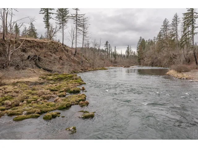 $649,000 | 241 Dogwood Drive, Gates, OR 97346