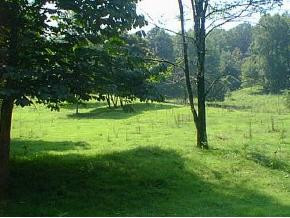 0 Blevins Hollow Road Elizabethton, TN 37643 - Photo 3 of 6 Photo 3